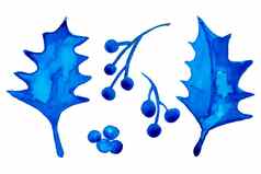 水彩冬天圣诞节叶子树浆果孤立的白色背景手绘画插图布兰斯云杉打印纹理壁纸问候卡蓝色的颜色水彩画艺术