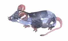 鼠标水彩画插图有趣的图标动物灰色老鼠粉红色的耳朵孤立的白色背景一年绘画象征画艺术对象设计