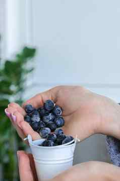 女人持有金属桶冻蓝莓水果收获概念女手收集浆果健康的吃概念长袜浆果冬天素食者素食主义者食物
