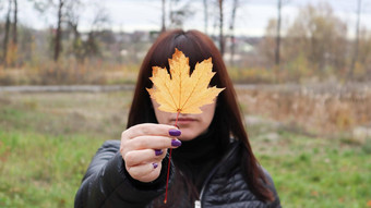 女孩持有黄色的枫木叶前面年轻的女人覆盖脸黄色的秋天枫木叶公园可爱的女孩享受温暖的天气秋天情绪享受季节