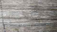 木纹理白色木纹理自然模式背景木地板背景表面自然树