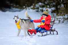 女孩雪橇戏剧宠物沙哑的冬天游戏狗冬天快乐