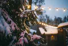 冬天假期背景一年圣诞节特写镜头细节分支冷杉雪背景木房子加兰灯闪亮的晚上