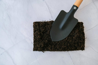花园工具园艺工具混凝土背景平躺植物花花园工具铲叉手cultivator如何能土壤