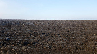 农业场耕种拖拉机蓝色的天空场耕种作物播种关闭土壤纹理农村场景农业食物行业耕地土地黑钙土