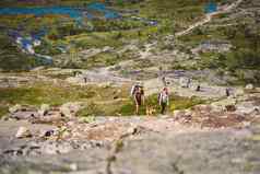 7月挪威徒步旅行者狗trolltunga狗徒步旅行挪威徒步旅行徒步旅行生活方式宠物挪威概念徒步旅行者狗山男人。狗旅行山