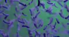 紫罗兰色的细菌显微镜摘要背景d渲染