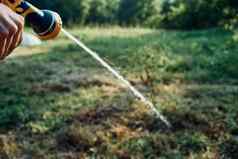 浇水植物花园软管自然农业培养