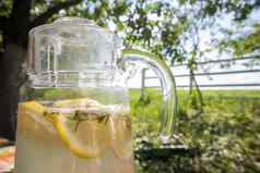 自制的柠檬水使柠檬大玻璃壶表格花园壶柠檬薄荷站街背景绿色植物热夏天一天