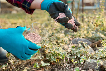 施肥植物春天花园化学矿物毕业化肥