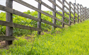 真实的木栅栏村手工制作的木栅栏使董事会栅栏农村景观用旧了的路径栅栏场