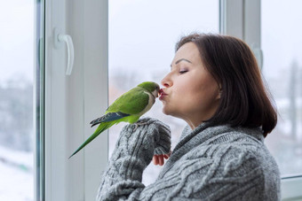 中间岁的女人鹦鹉女鸟老板会说话的接吻绿色贵格会教徒宠物