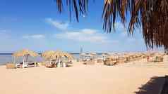 美丽的热带海滩茅草雨伞海岸红色的海沙姆谢赫。夏天景观美丽的阳光明媚的海滩埃及概念假期旅行假期