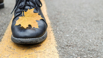 腿黑色的皮革靴子沥青黄色的下降枫木叶秋天季节概念秋天时尚时尚的生活方式空白空间积极的文本报价语录