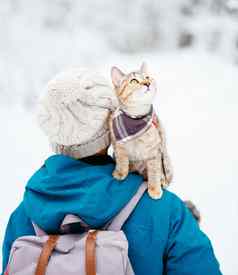 旅行者猫坐着肩膀女人冬天