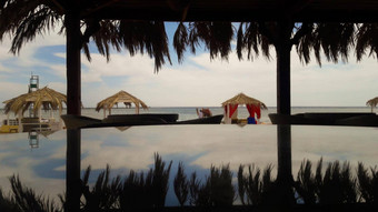 轮玻璃表格描述了棕榈树海天空美丽的视图海滩旅游小镇夏天酒吧红色的海藤蔓缠绕太阳便鞋保护太阳