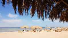 美丽的热带海滩茅草雨伞海岸红色的海沙姆谢赫。夏天景观美丽的阳光明媚的海滩埃及概念假期旅行假期