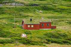 小屋木山小屋山通过挪威挪威景观典型的斯堪的那维亚草屋顶房子山村小房子木小屋草屋顶谷