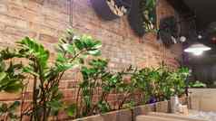 乌克兰基辅6月意大利餐厅传统的室内光比萨 店设计砖墙绿色植物