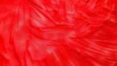 红色的泡沫橡胶高决议纹理红色的泡沫纹理背景空白橡胶结构背景纹理泡沫橡胶