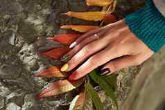手美丽的女人秋天叶子背景精致的手色彩斑斓的修指甲触碰叶子五彩缤纷的指甲秋天颜色
