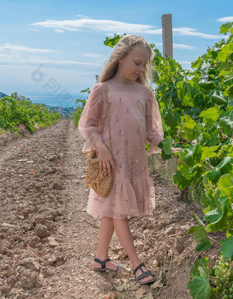 女孩葡萄园山天空地球葡萄园自然他来了葡萄国家日益增长的小道消息秋天玻璃葡萄成熟的农民