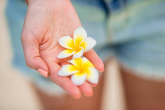 美丽的<strong>鸡蛋花</strong>花手背景绿松石海白色海滩