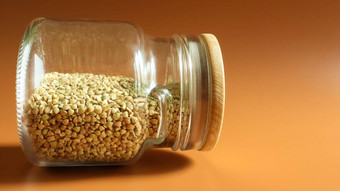 绿色豆芽生有机荞麦玻璃Jar谷物素食主义者食物概念有机食物概念饮食重量损失健康的适当的营养复制空间文本