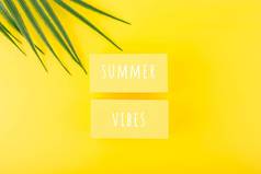 假期背景夏天共鸣登记黄色的背景棕榈叶有创意的夏天作文