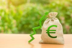 钱袋欧元象征绿色箭头增加利润财富增长工资有利的条件业务投资吸引力贷款补贴有利的条件