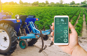 手持有智能手机infographics背景拖拉机保加利亚胡椒种植园<strong>农业农业农业</strong>机械数据分析植物状态收获