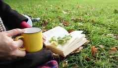 女孩坐在毯子秋天森林读取书饮料热喝黄色的杯城市公园温暖的一天绿色草地概念阅读放松安慰