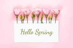 春天横幅粉红色的eustoma花安排空白卡光粉红色的背景