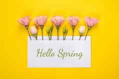 春天横幅粉红色的eustoma花安排空白卡黄色的背景