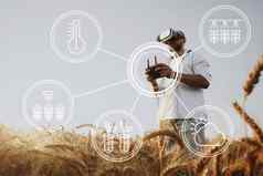 男人。农民站小麦场控制无人机技术农业概念