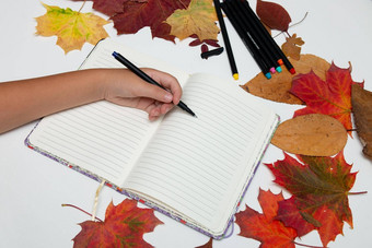 孩子们的手写笔记本白色背景秋天叶子回来学校