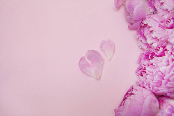 粉红色的牡丹花粉红色的背景心形状的花瓣复制空间文本前视图婚礼情人节一天母亲一天背景