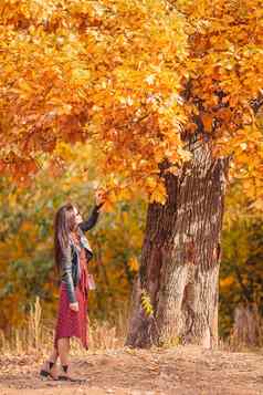 秋天概念美丽的女人秋天公园秋天树叶