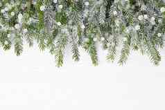 圣诞节背景圣诞节冷杉树分支机构雪白色木背景复制空间前视图