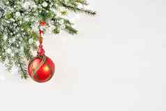 白色圣诞节背景冷杉树分支机构红色的圣诞节饰品