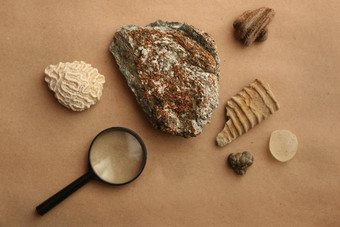 石头样品地质实验室地质岩石实验室实验室分析地质土壤材料石头矿物质岩石样品研究人员学生