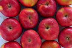 拍摄美味的红色的苹果平躺回转红色的成熟的苹果特写镜头