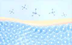 皮肤细胞吸收分子呈现