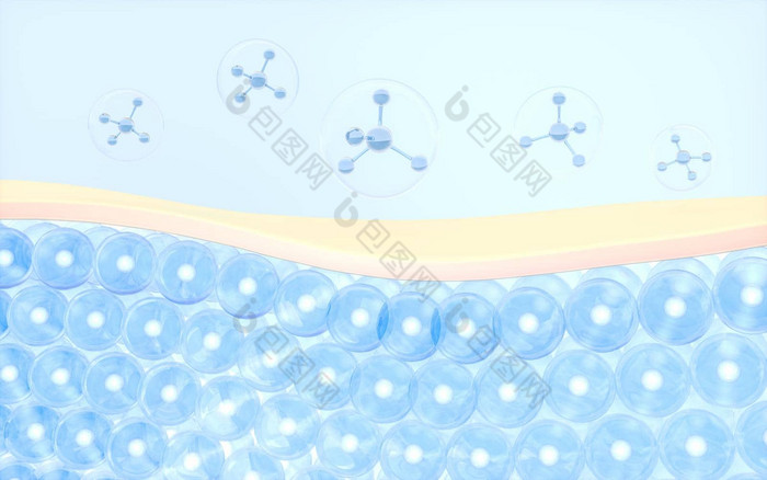 皮肤细胞吸收分子呈现