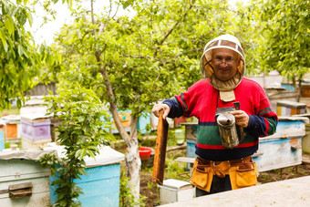 养蜂人工作蜜蜂蜂房养蜂场养蜂人养蜂场