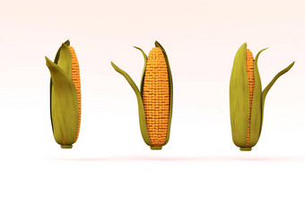 现实的玉米模型白色孤立的背景黄色的玉米绿色叶玉米白色背景图形特写镜头