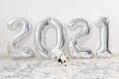 杰克罗素梗狗气球形式数字一年庆祝活动银空气气球假期聚会，派对装饰