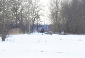 美丽的冬天景观日落雾雪覆盖农田河荷兰美丽的颜色自然