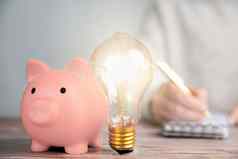 闪亮的灯泡粉红色的小猪银行业务人写作金融的想法有创意的储蓄投资预算概念复制空间
