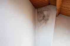 黑色的模具角落里天花板建筑水损害导致模具增长危险的有毒真菌房间改造房子复制空间